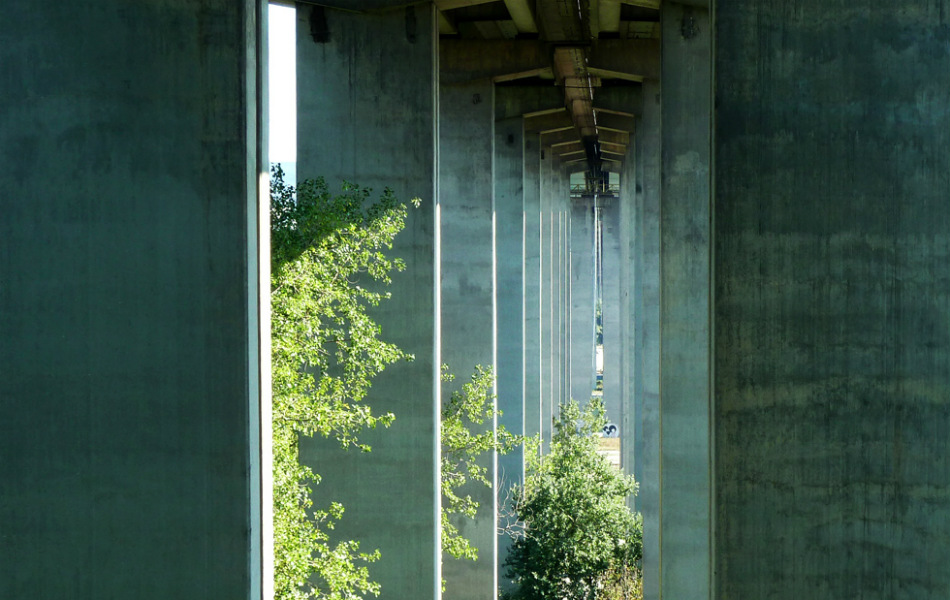 Under the bridge