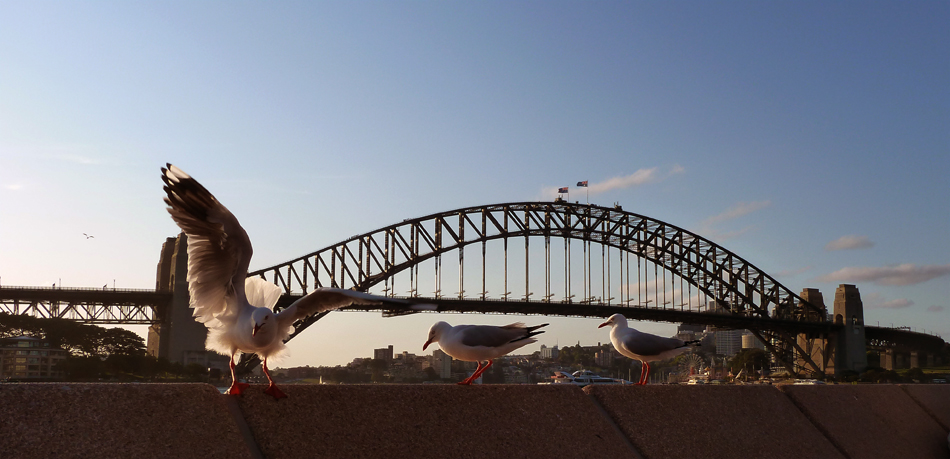 Harbour Bridge