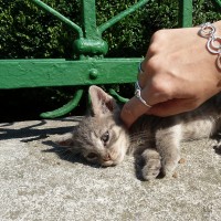 Varna, Bulgaria, 2010