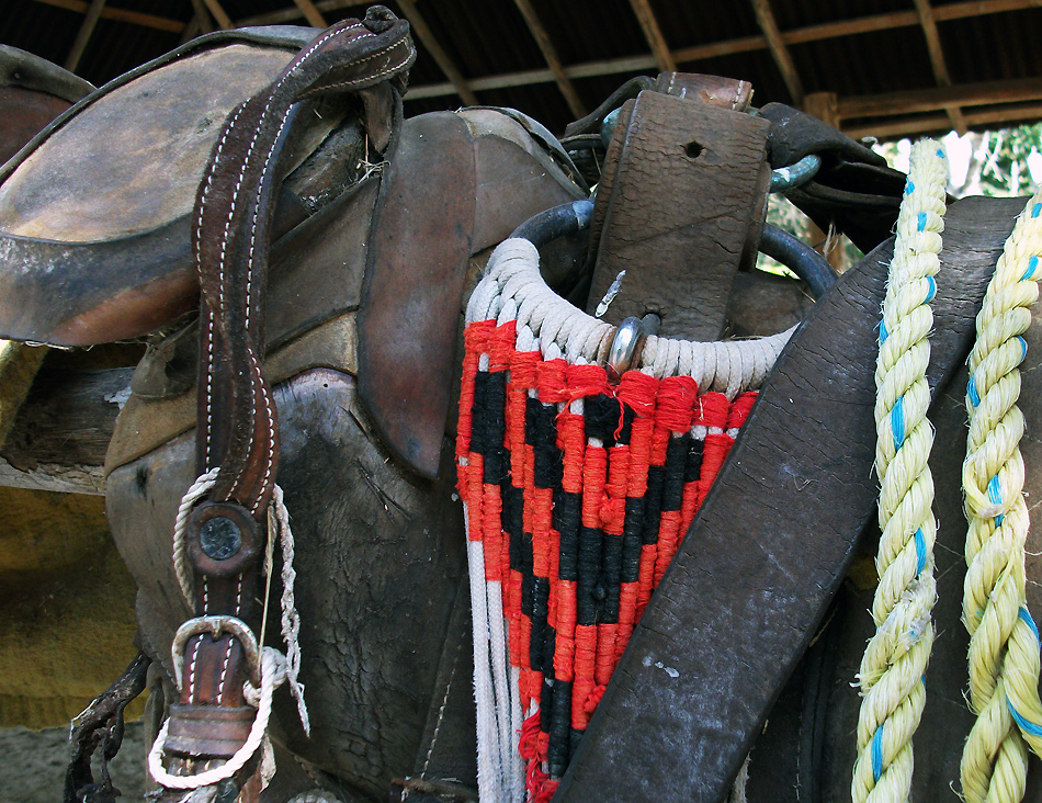 Saddle