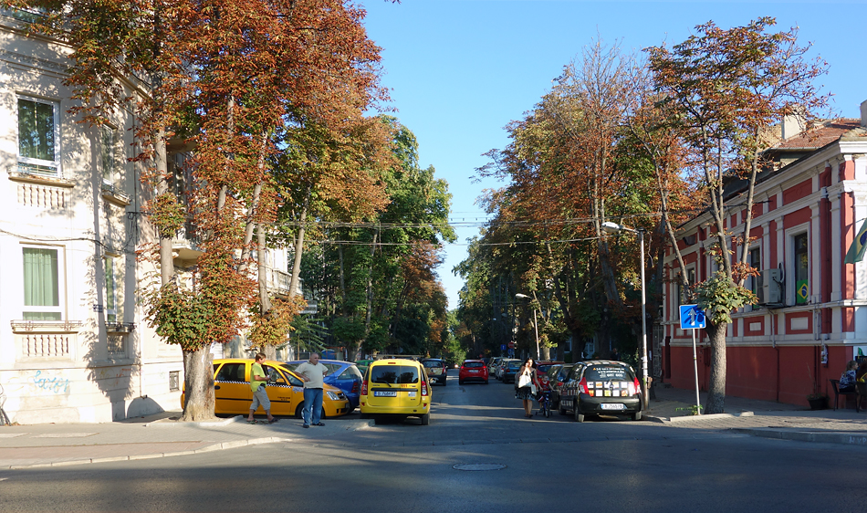 Autumn avenue