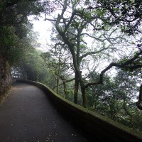 The Peak, Hong Kong Island, Hong Kong, 2014