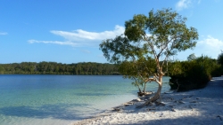 'Boorangoora' - Lake McKenzie, Fraser Island, Queensland, Australia, 2012