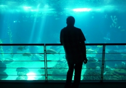 'Underwater love' - Oceanário de Lisboa, Lisbon, Portugal, 2009