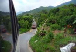 'Up and down' - Mata Atlântica near Ubatuba, Brazil, 2009