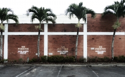 'No parking' - Cairns, Queensland, Australia, 2012