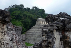 'Palenque' - Palenque, Chiapas, Mexico, 2010