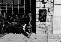 'Belts' - Varna, Bulgaria, 2012
