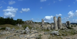 'Stone wood' - Pobiti Kamani, Varna, Bulgaria, 2011