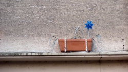 'Ebullient zest for life' - Paderborn, Germany, 2010