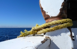 'Grind' - Red sea, Egypt, 2010
