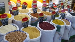 'Beans & rice' - Curitiba, Brazil, 2009