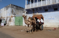 'Taxi?' - Pushkar, Rajasthan, India, 2011