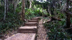 'Jungle to the beach' - Shelley Beach, Port Macquarie, Australia, 2012
