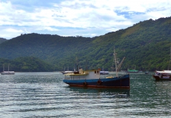 'Ilha Grande' - Ilha Grande, Brazil, 2009
