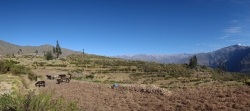 'Cabanaconde' - Cabanaconde, Caylloma, Peru, 2013