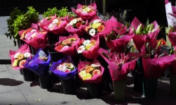 'Flowers' - Sydney, Australia, 2012