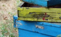 'Boxes' - Benkovski, Bulgaria, 2011
