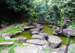 'Everything Zen' - Bairro da Liberdade, São Paulo, Brazil, 2009