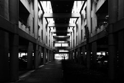 'Columns' - Miami International Airport, Miami, USA, 2013