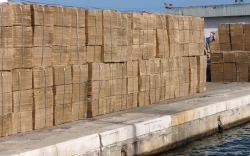 'Cardboard' - Sousse, Tunisia, 2008