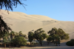 'Dunes' - Huacachina, Ica, Peru, 2013
