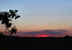 'Abend' - Hildesheim, Germany, 2012