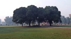 'Hazy' - Early Morning inside Red Fort, Delhi, India, 2011