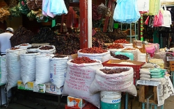'Chili'   -   Oaxaca, Mexico, 2010
