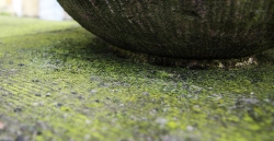 'Green'   -   Paderborn, Germany, 2010