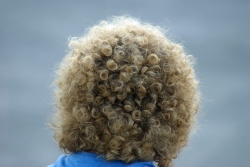 'Curly' - Paderborn, Germany, 2008