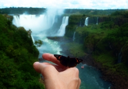 'Fly away' - Foz do Iguaçu, Brazil, 2009